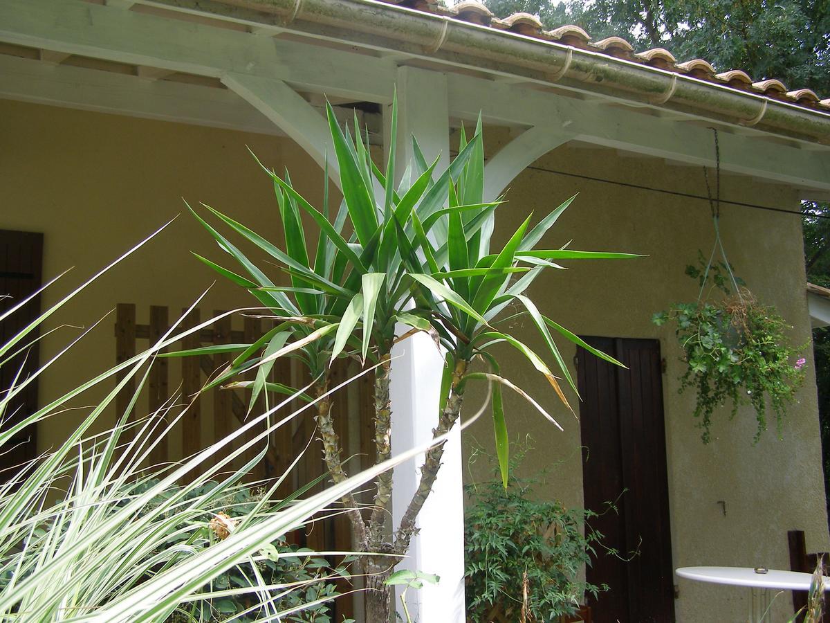 Le Bord De L'Eau Sainte-Terre Exterior foto